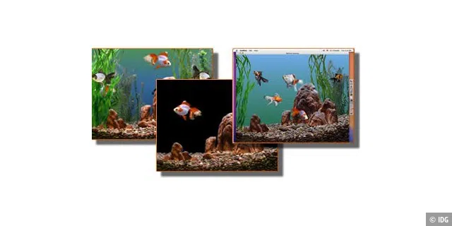 Goldfish Aquarium 2