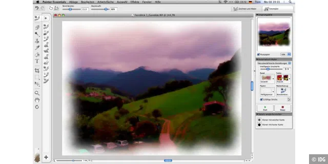 Verkünstelt Mit der Malsoftware bekommen auch die schlichtesten Bilder schnell einen künstlerischen Gemälde-Touch.