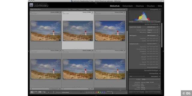 Hier sind in Lightroom den virtuellen Kopien einer RAW-Aufnahme zum Vergleich verschiedene Kameraprofile zugewiesen.