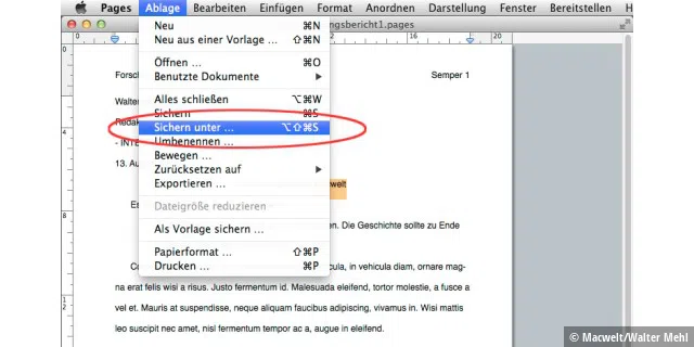 Unter OS X Lion gibt es in Textedit und anderen Programmen den Befehl 