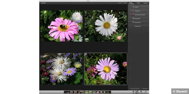 iPhoto kann bis zu vier Bilder gleichzeitig in den Bearbeitungsmodus laden und sie nebeneinander korrigieren.