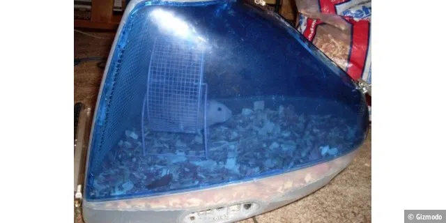Hamster Käfig aus einem Bondi-iMac