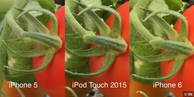 Die Bildqualität des iPod Touch 6 (Mitte) unterscheidet sich bei guten Lichtverhältnissen kaum vom iPhone 5 (links) und vom iPhone 6 (rechts). Erst bei wenig Licht liefert das iPhone 6 sichtbar bessere Ergebnisse.