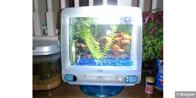 Warum nicht einen alten iMac als Aquarium benutzen? Quelle: www.mmug.net/imacaquarium.html