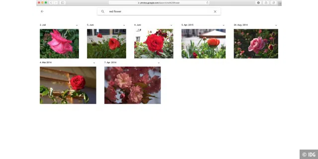 Googles Fotoverwaltung Fotos unterstützt eine inhaltsbasierte Suche, beispielsweise nach roten Blumen.