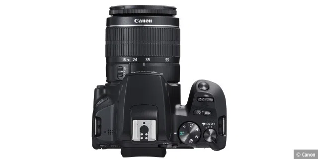 Canon EOS 250D von oben