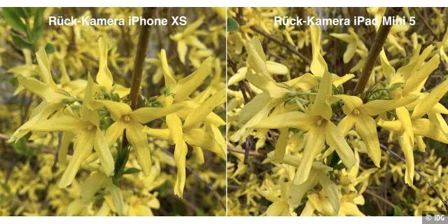 Die Kamera im iPad Mini (rechts) liefert eine erstaunliche Bildschärfe und eine gute Farbtreue. Die kommt fast an das derzeitige Kamera-Topmodell heran, das Apple in iPhone XS und XS Max verwendet (links).