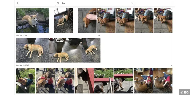 Google Photos ist eine einfachere Möglichkeit, eine ganze Bibliothek zu teilen als iCloud Photos.