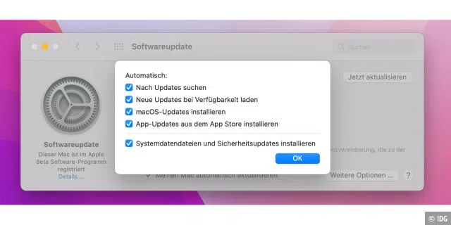 Optionen für Updates in macOS einstellen