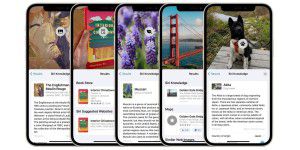 Ohne App: Tiere und Pflanzen mit dem iPhone erkennen