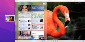 Parallels Desktop 18 – Windows 11 auf M1-Macs